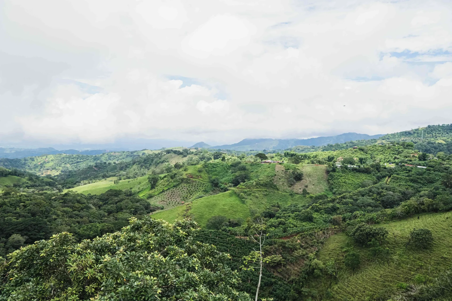 Vacation Rental Retreat in Atenas, Costa Rica - Image 5
